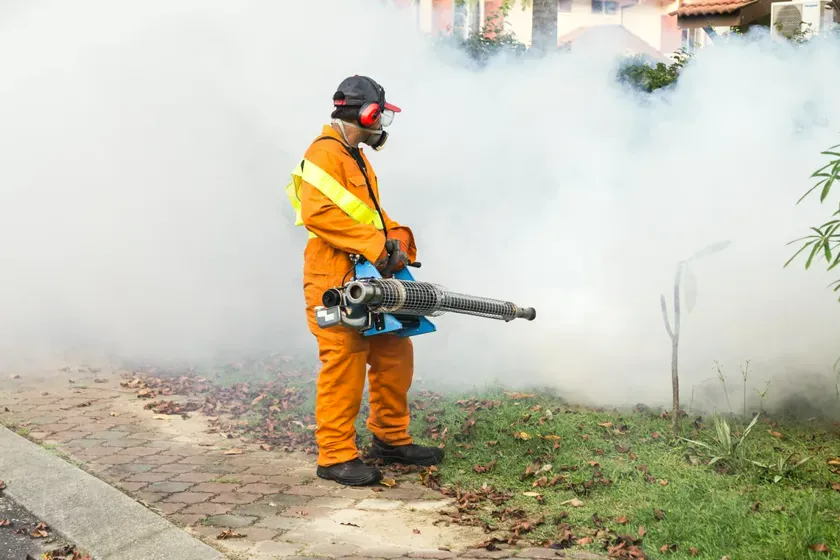 Control del mosquito tigre en Castelldefels — CostaPest
