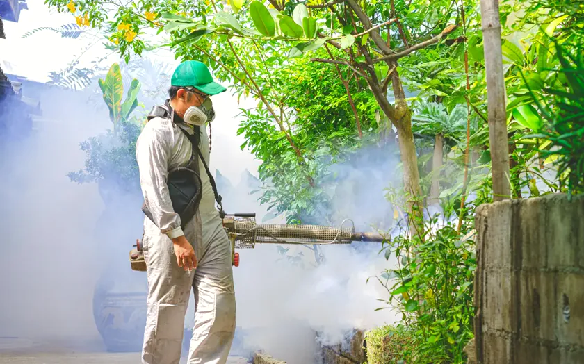 Tratamiento de mosquito tigre en Castelldefels — CostaPest