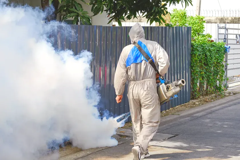 Tratamiento de mosquitos en Castelldefels — CostaPest