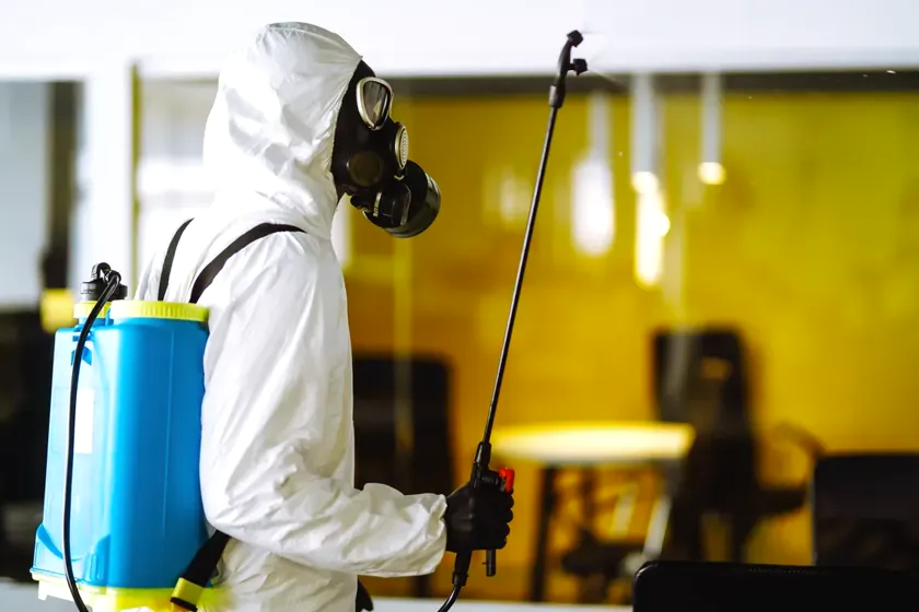 Control de plagas para oficinas en Castelldefels — CostaPest