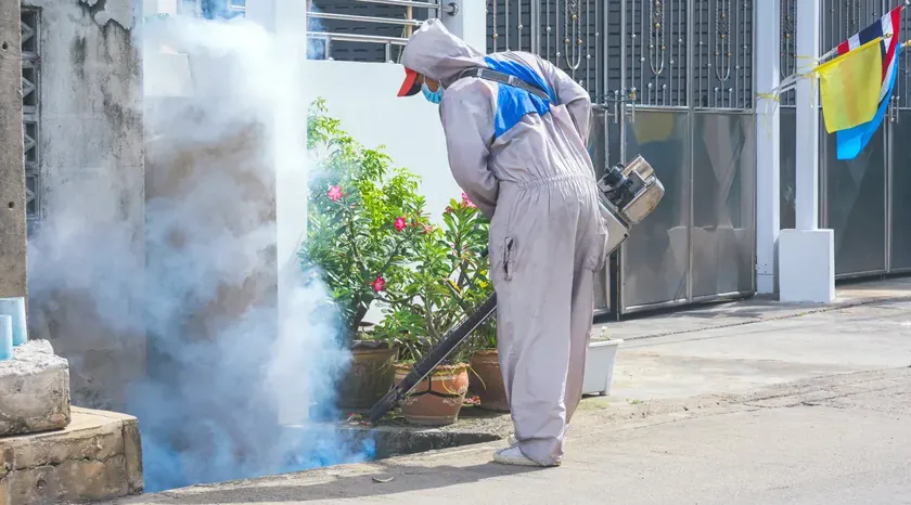 Control de plagas para viviendas particulares en Castelldefels — CostaPest